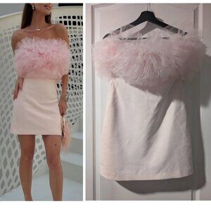 Zara | Voluminous Tulle Mini Dress In Pink